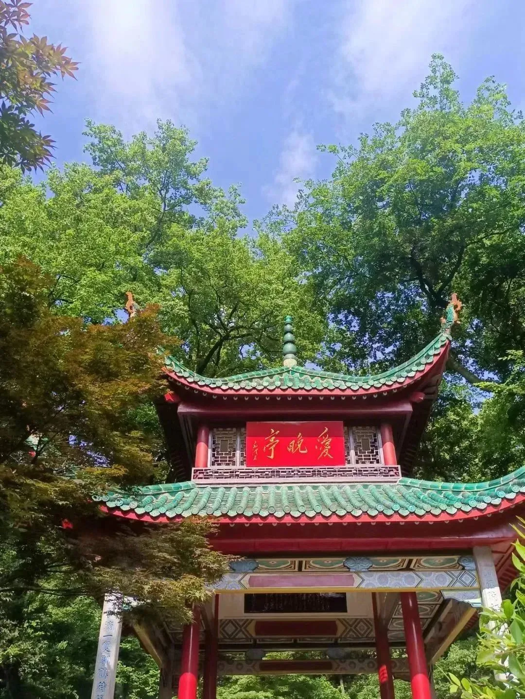 集合.JPG 图片